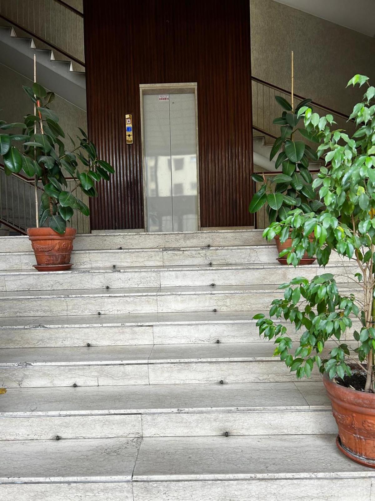 Bam Bam Tiburtina Guesthouse Roma Esterno foto