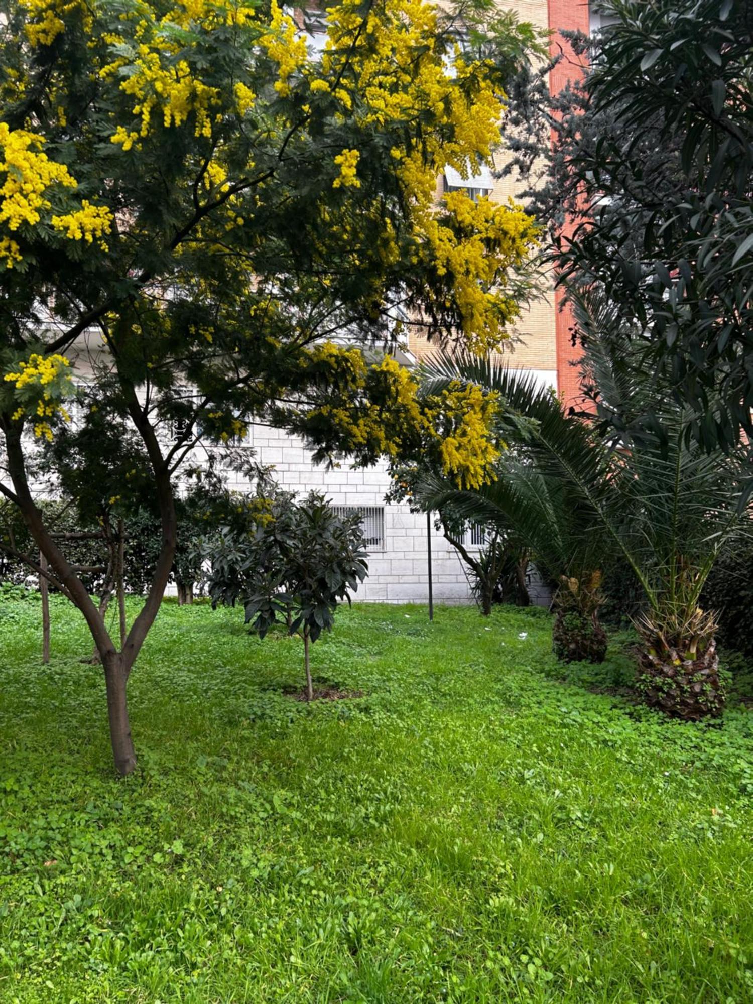 Bam Bam Tiburtina Guesthouse Roma Esterno foto